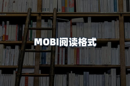 EPUB电子书